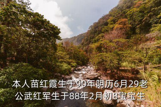 本人苗紅霞生于90年陰歷6月29老公武紅軍生于88年2月初8寶寶生