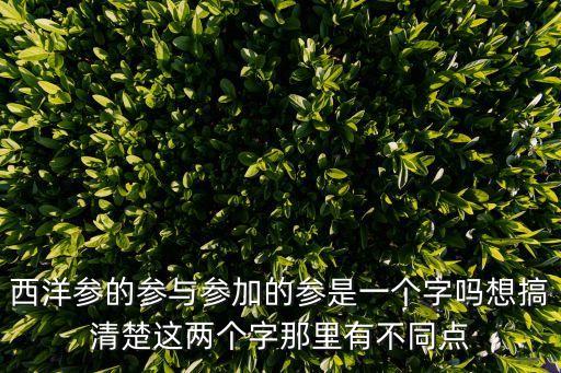參與和參加的區(qū)別，西洋參的參與參加的參是一個(gè)字嗎想搞清楚這兩個(gè)字那里有不同點(diǎn)