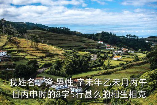 我姓名丁鋒 男性 辛未年乙未月丙午日丙申時(shí)的8字5行甚么的相生相克
