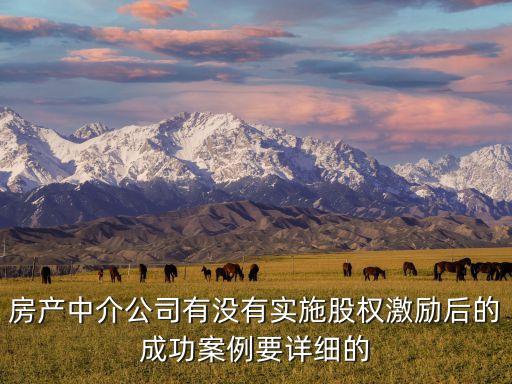 房產(chǎn)中介公司有沒(méi)有實(shí)施股權(quán)激勵(lì)后的成功案例要詳細(xì)的