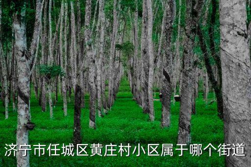 洸河街道，濟(jì)寧市高新區(qū)洸河辦事處的全稱是什么