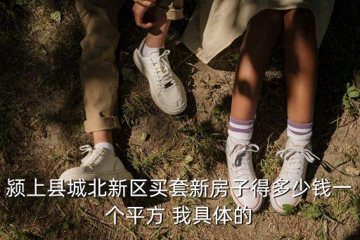 潁上縣城北新區(qū)買套新房子得多少錢一個平方 我具體的