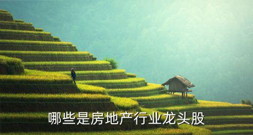 哪些是房地產(chǎn)行業(yè)龍頭股