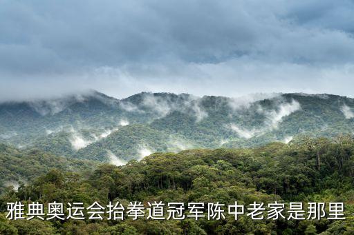 陳中，雅典奧運(yùn)會(huì)抬拳道冠軍陳中老家是那里