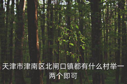 北閘口鎮(zhèn)，天津津南區(qū)北匝口鎮(zhèn)的郵編是多少