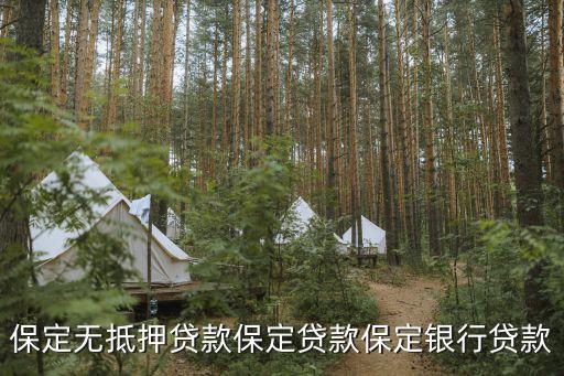保定貸款，保定無(wú)抵押貸款保定貸款保定銀行貸款