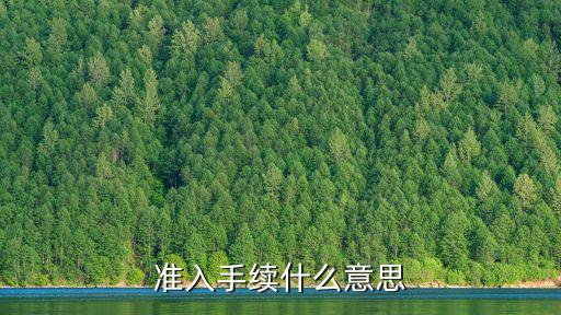 準(zhǔn)入，準(zhǔn)入手續(xù)什么意思