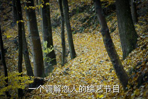 調(diào)解面對(duì)面，一個(gè)調(diào)解戀人的綜藝節(jié)目