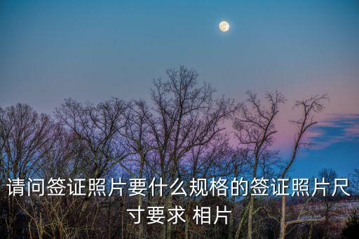 簽證照片尺寸，請問簽證照片要什么規(guī)格的簽證照片尺寸要求 相片