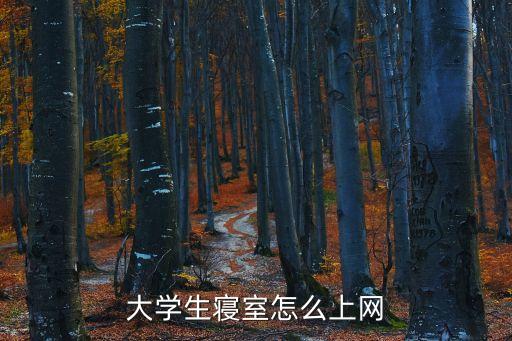 大學生網(wǎng)絡，大學的網(wǎng)絡安全嗎