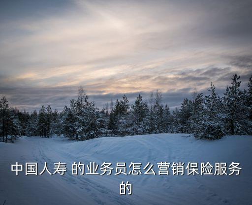 劉朝霞，中國(guó)人壽 的業(yè)務(wù)員怎么營(yíng)銷保險(xiǎn)服務(wù)的