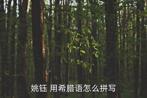 姚鈺，姚鈺名字打多少分