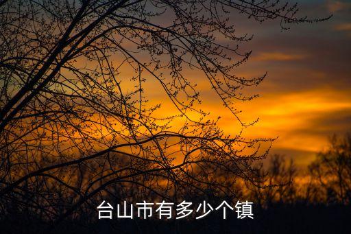 臺(tái)山市有多少個(gè)鎮(zhèn)