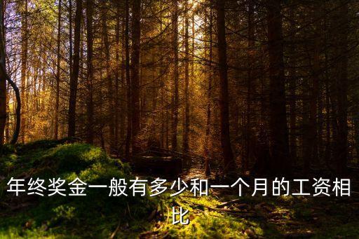 年終獎(jiǎng)一般是月薪幾倍，年終獎(jiǎng)一般為工資幾倍