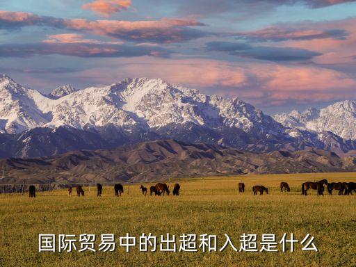 國際貿(mào)易中的出超和入超是什么