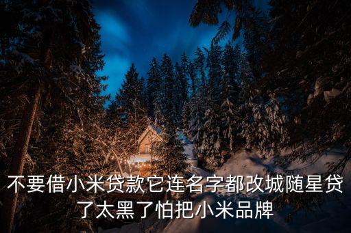 不要借小米貸款它連名字都改城隨星貸了太黑了怕把小米品牌