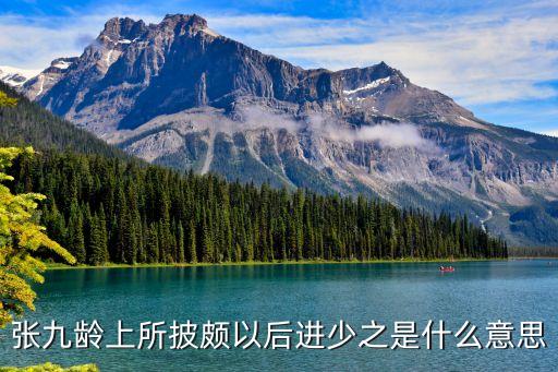 張九齡上所披頗以后進(jìn)少之是什么意思