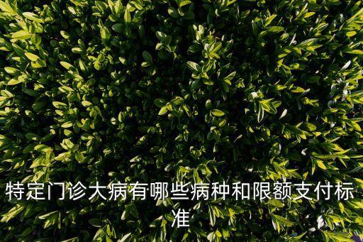 特殊門(mén)診，特定門(mén)診大病有哪些病種和限額支付標(biāo)準(zhǔn)