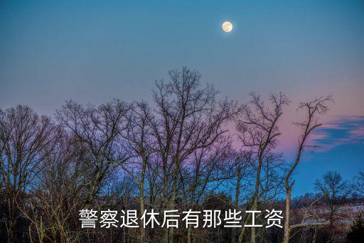 警察退休后有那些工資