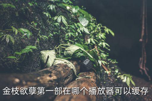 金枝欲孽第一部在哪個(gè)播放器可以緩存