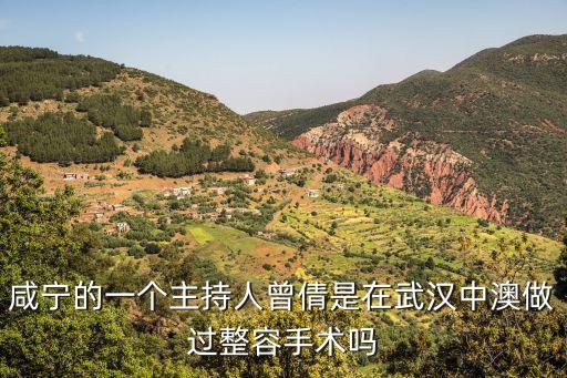 咸寧的一個主持人曾倩是在武漢中澳做過整容手術(shù)嗎