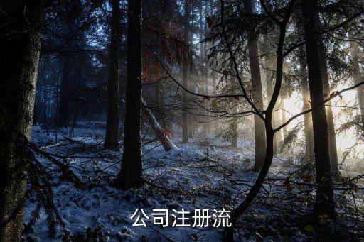 注冊(cè)bvi公司，bvi公司的注冊(cè)需要多長(zhǎng)時(shí)間