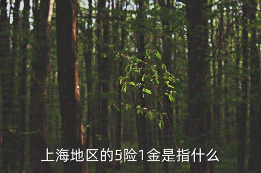 上海市五險(xiǎn)一金，上海五險(xiǎn)一金包括哪些