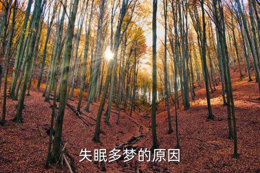 失眠多夢的原因