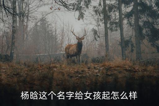 楊晗，楊晗的名字的內(nèi)涵