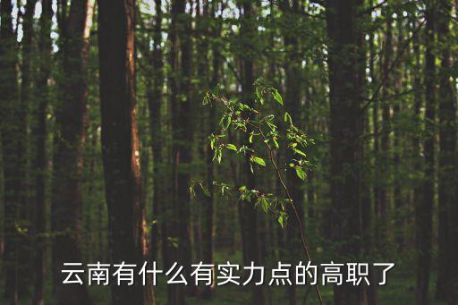 高等職業(yè)學校，高職院校是什么意思