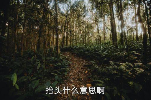 抬頭什么意思啊