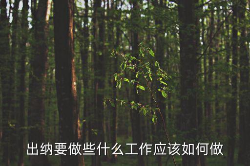 出納的工作內容，出納主要工作都做什么