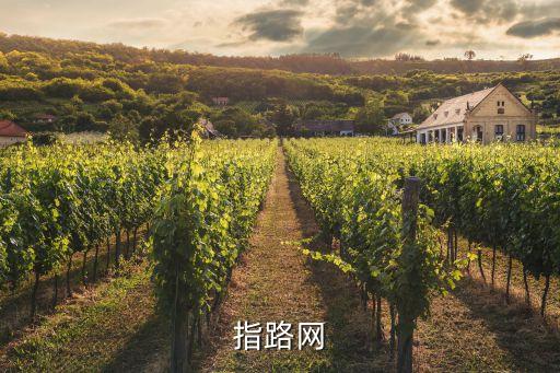 指路網(wǎng)