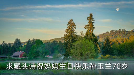 孫玉蘭，請大家?guī)兔θO氏的女孩名字