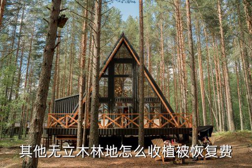 森林植被恢復費，林業(yè)局收的森林植被恢復費應該計入什么科目