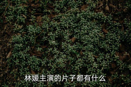 林媛，林媛她是誰啊她很有名嗎