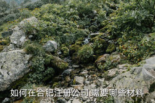 如何在合肥注冊(cè)公司 需要哪些材料