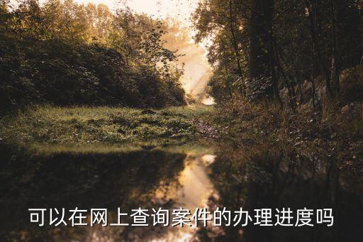可以在網(wǎng)上查詢案件的辦理進(jìn)度嗎