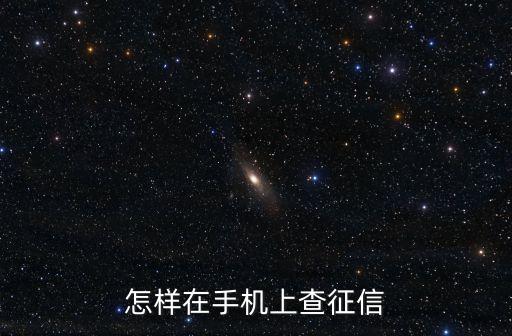 怎樣在手機上查征信