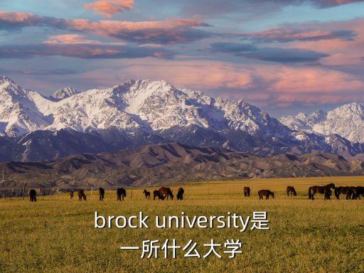 brock university是一所什么大學(xué)