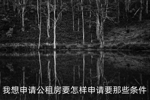如何申請公租房，我想申請公租房要怎樣申請要那些條件