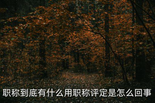 職稱到底有什么用職稱評(píng)定是怎么回事