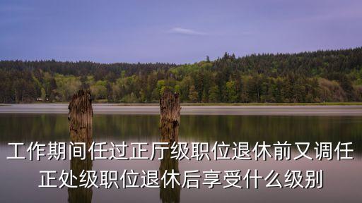 工作期間任過正廳級職位退休前又調(diào)任正處級職位退休后享受什么級別