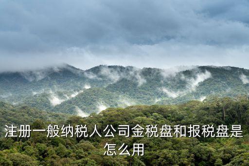 稅盤(pán)，稅盤(pán)清盤(pán)要怎么處理
