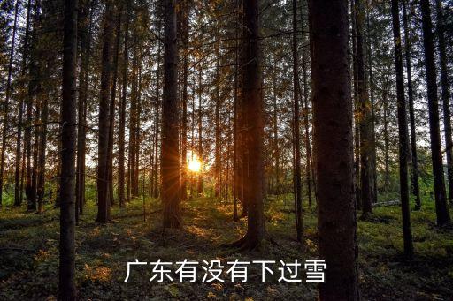 廣東下過(guò)雪嗎，廣東在近幾年下過(guò)雪嗎