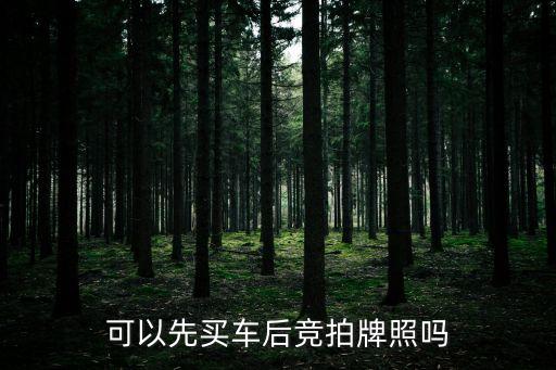 競(jìng)拍車牌，可以先買(mǎi)車后競(jìng)拍牌照嗎