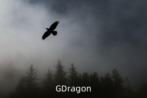 GDragon