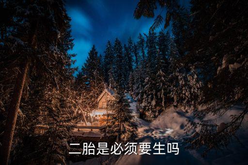 二胎，國家對生第二胎有何政策