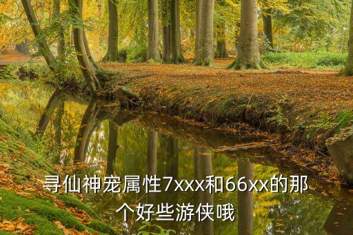 66xX，藍(lán)拳專業(yè)術(shù)語66XX是啥意思啊