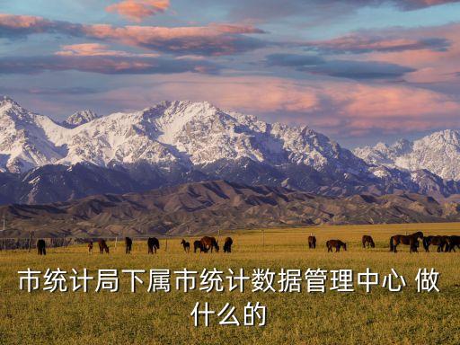 市統(tǒng)計局下屬市統(tǒng)計數(shù)據(jù)管理中心 做什么的